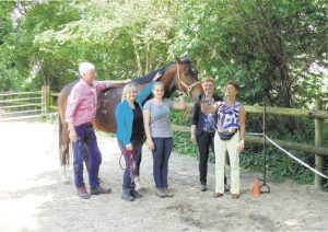 Farasi-Rafiki: coaching met paarden én hond