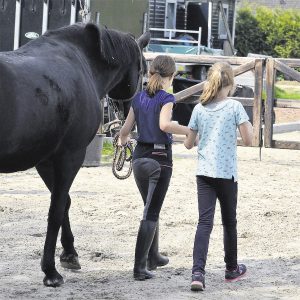 Uw zoon/dochter ook kracht putten uit Pony Power?